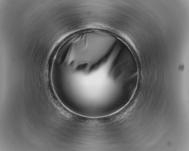 X0000090870931200708101331