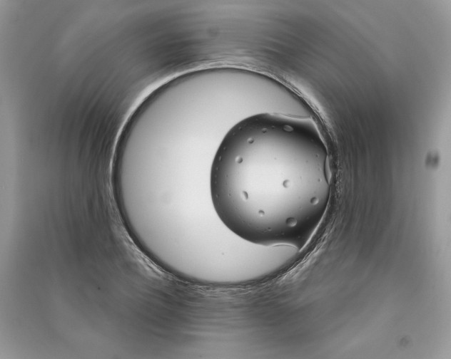 X0000090870932200708101331