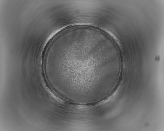 X0000090870933200708101331