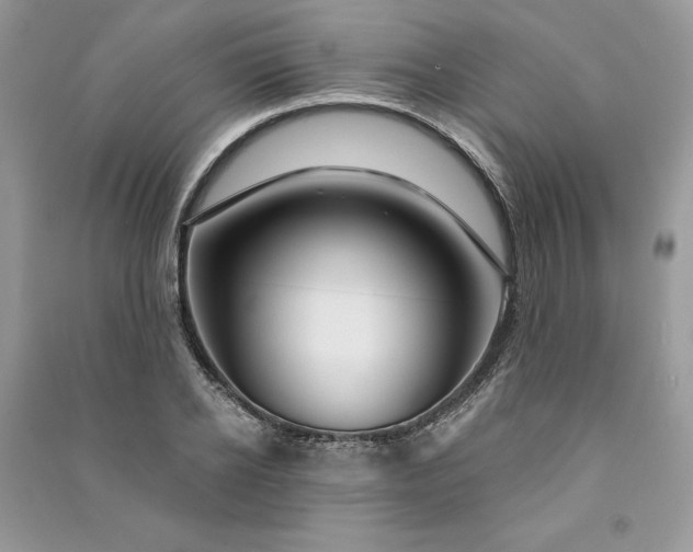 X0000090870934200708101331