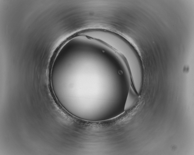 X0000090870935200708101331