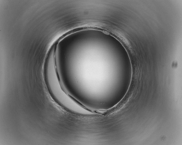 X0000090870936200708101331