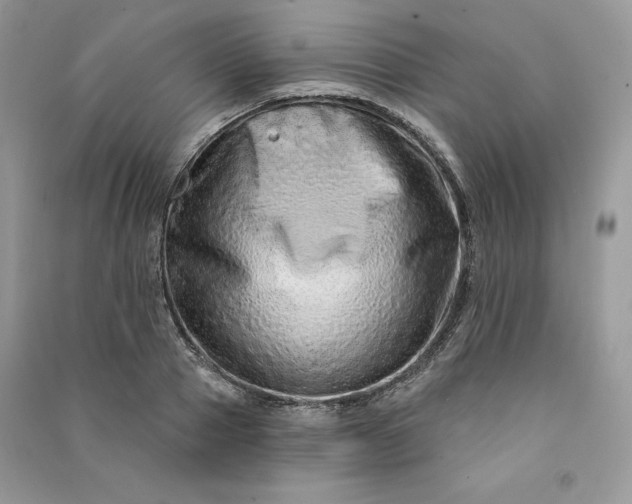 X0000090870937200708101331