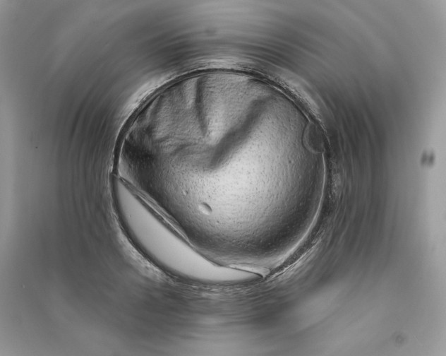 X0000090870938200708101331