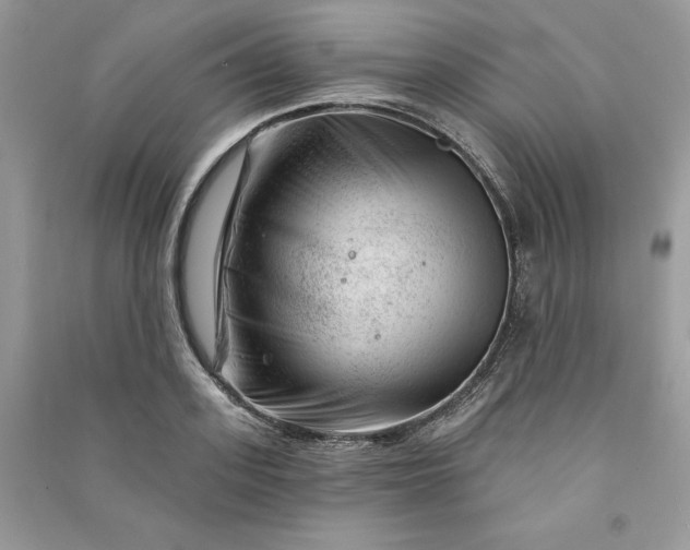 X0000090870939200708101331