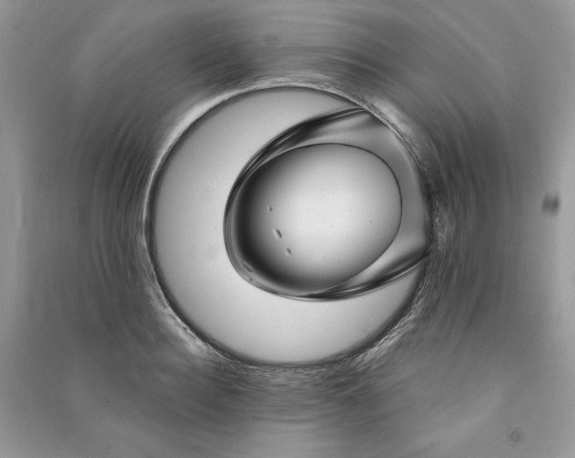 X0000090870940200708101331