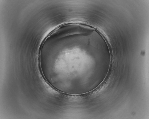 X0000090870941200708101331