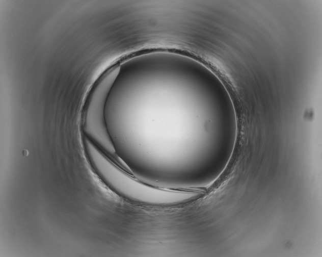 X0000090870942200708101331