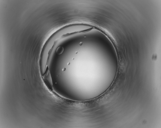 X0000090870943200708101331