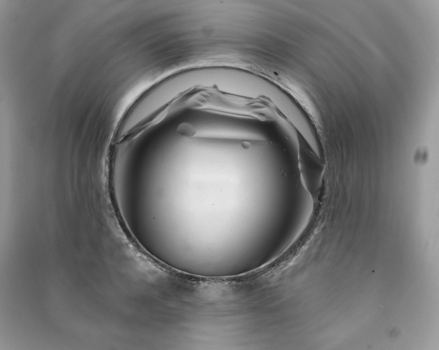 X0000090870944200708101331