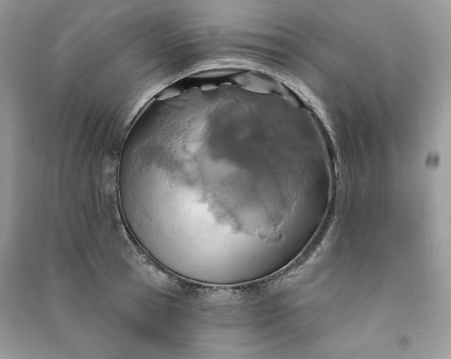 X0000090870945200708101331