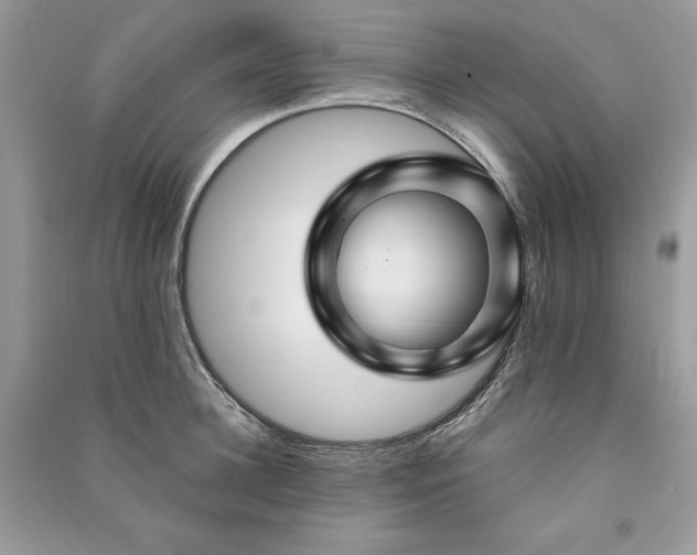 X0000090870948200708101331