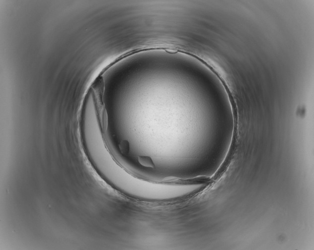 X0000090870949200708101331