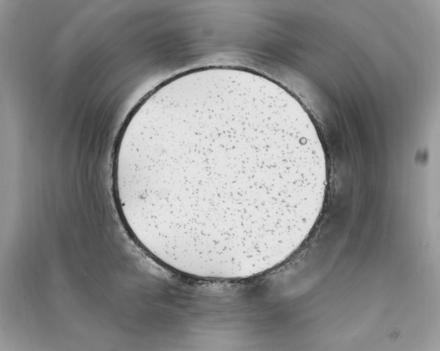 X0000090870950200708101331