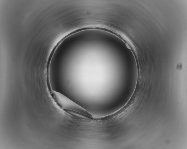 X0000090870951200708101331