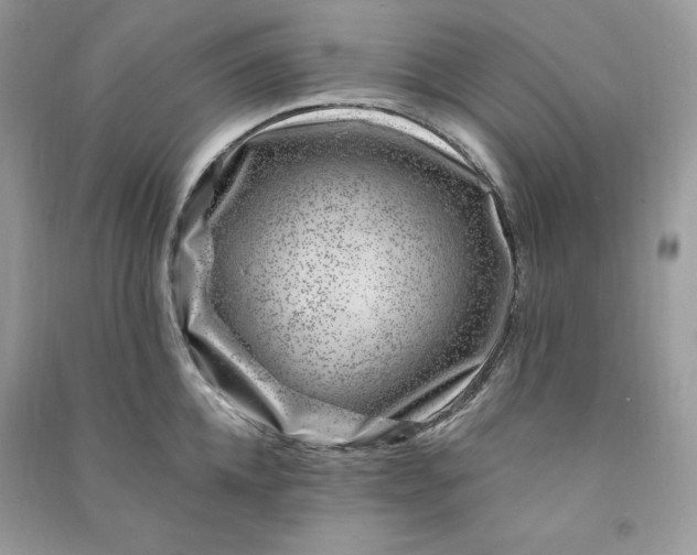 X0000090870952200708101331