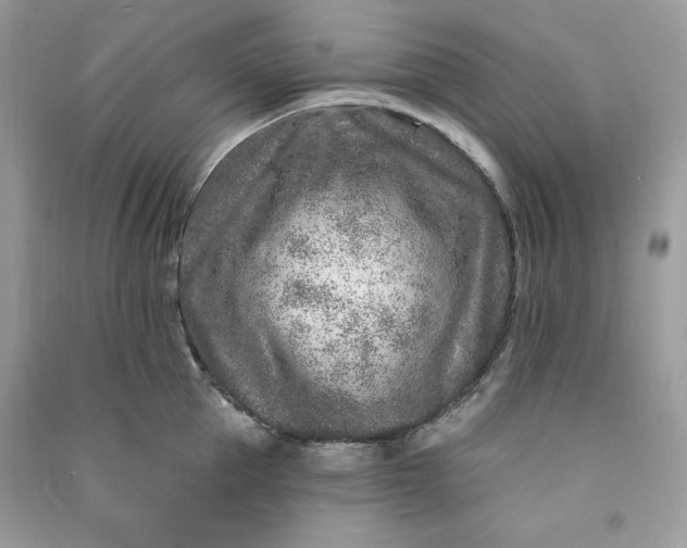 X0000090870953200708101331