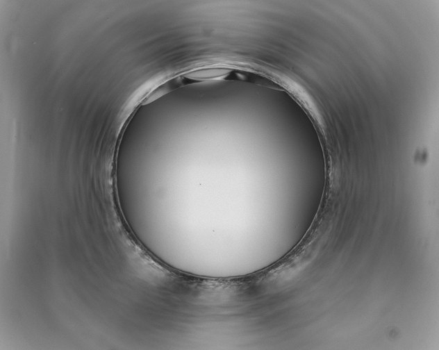 X0000090870954200708101331