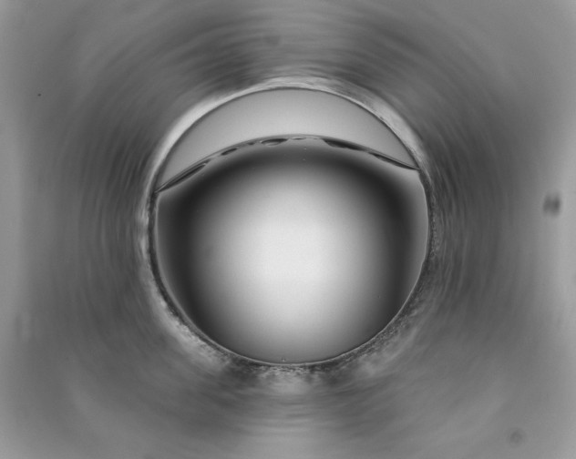 X0000090870955200708101331