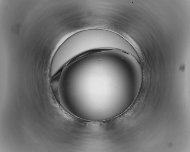 X0000090870956200708101331