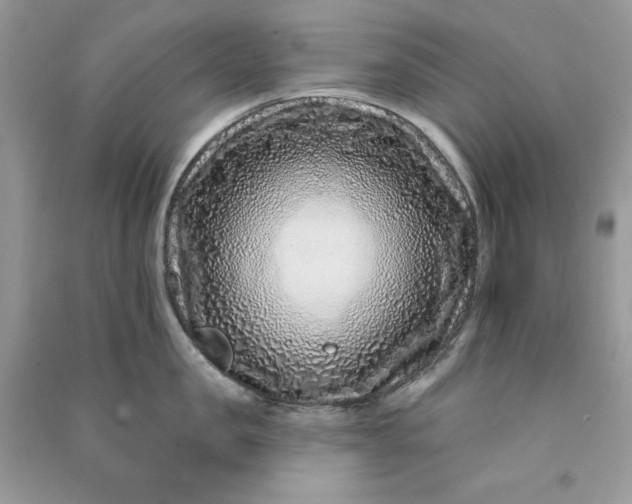 X0000090870957200708101331