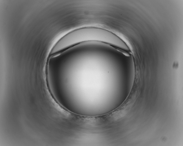 X0000090870959200708101331