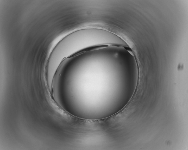 X0000090870960200708101331