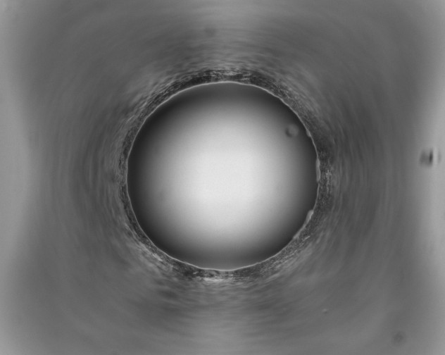 X0000090870961200708101330