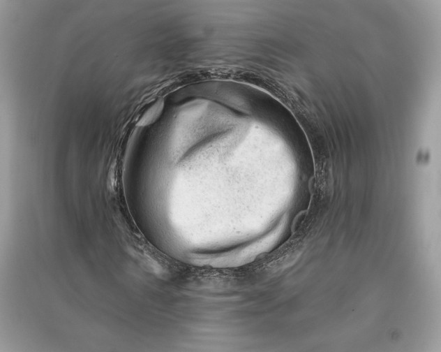 X0000090870962200708101330