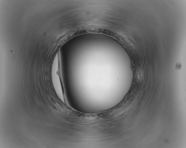 X0000090870964200708101330