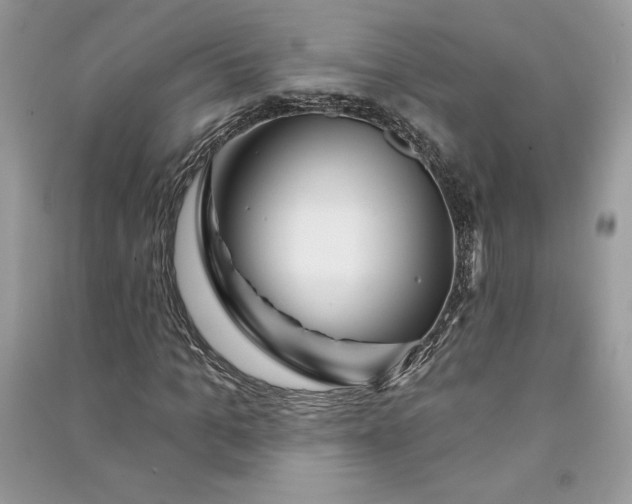 X0000090870965200708101330