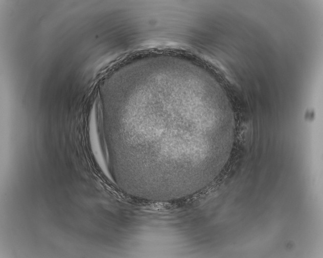 X0000090870966200708101330