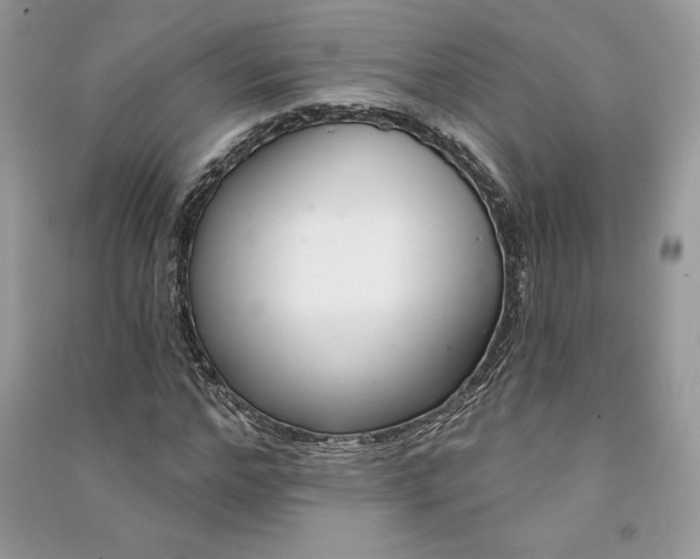 X0000090870968200708101330