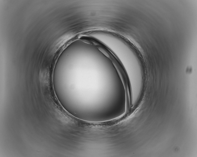 X0000090870969200708101330