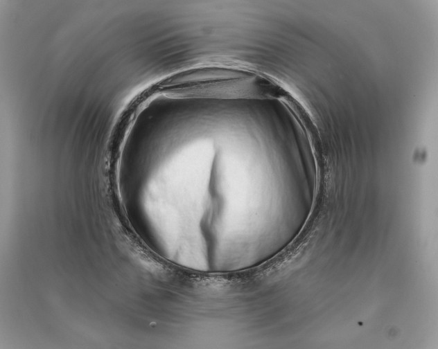 X0000090870971200708101330