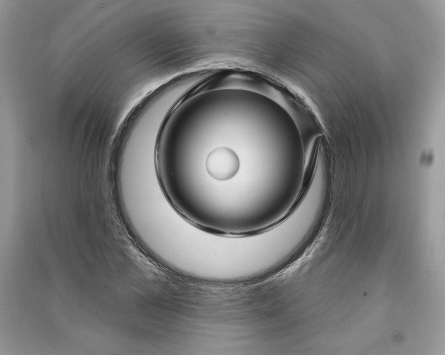 X0000090870973200708101330