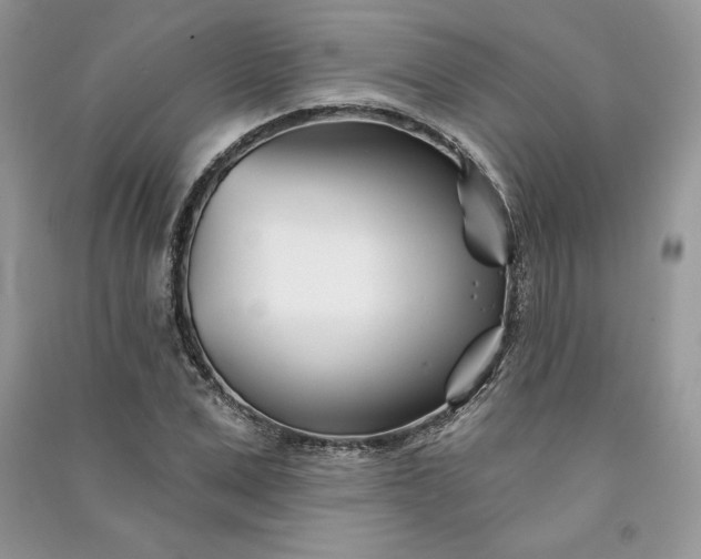 X0000090870975200708101330