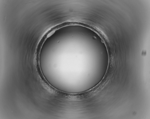 X0000090870976200708101330