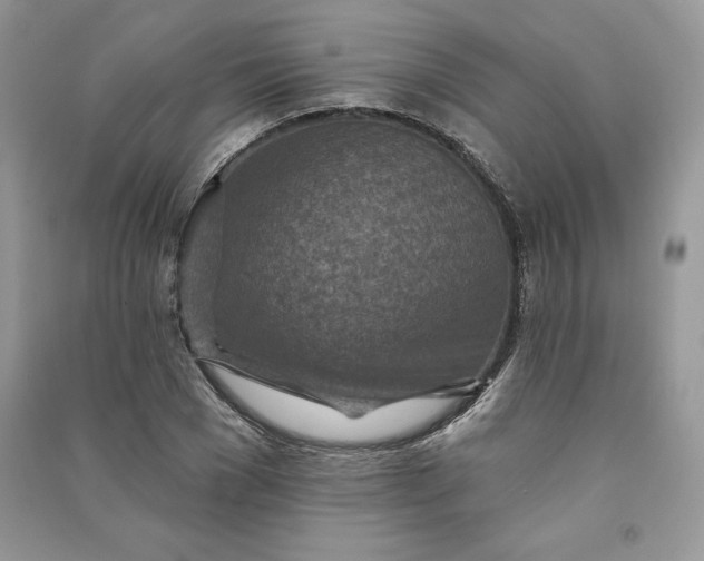 X0000090870977200708101330