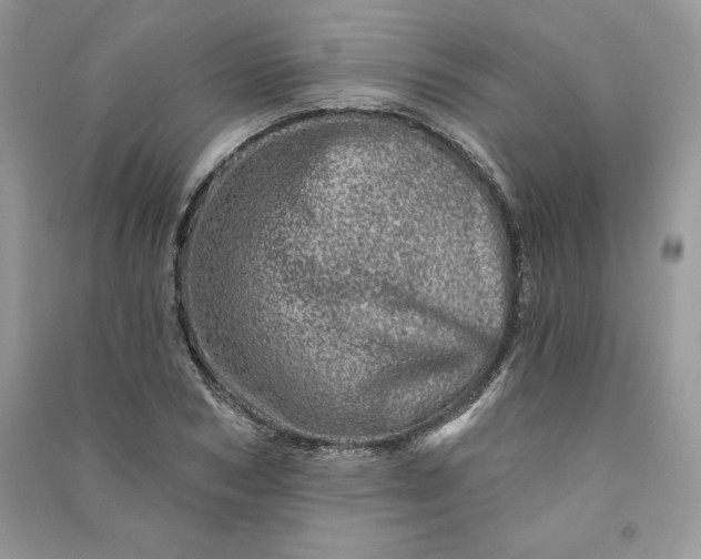 X0000090870978200708101330