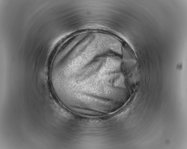 X0000090870979200708101330