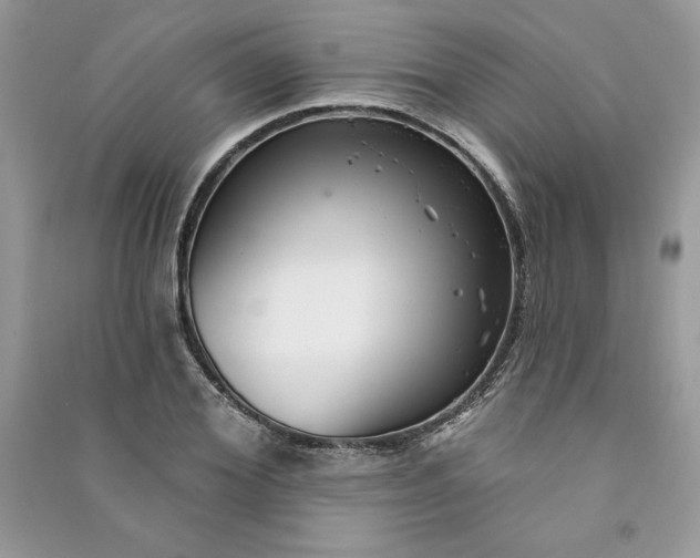 X0000090870980200708101330