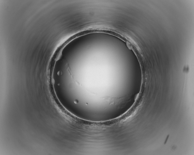 X0000090870981200708101330