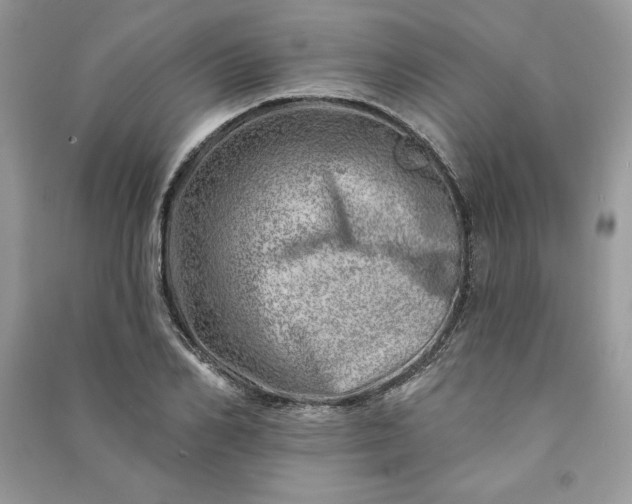 X0000090870982200708101330