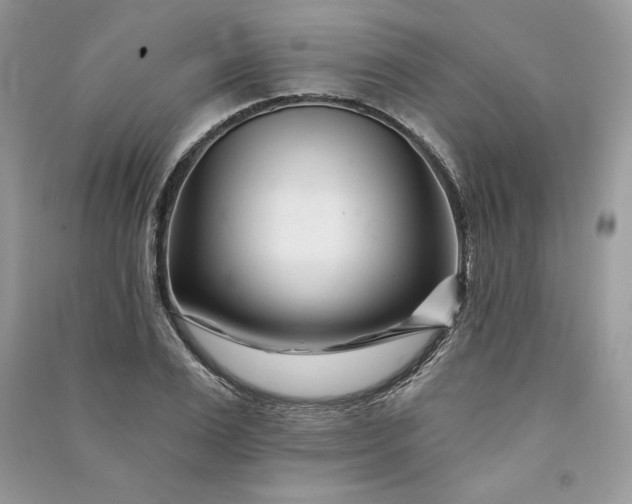 X0000090870983200708101330