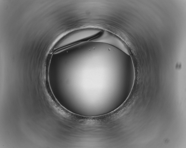 X0000090870984200708101330