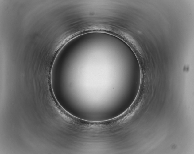 X0000090870985200708101330