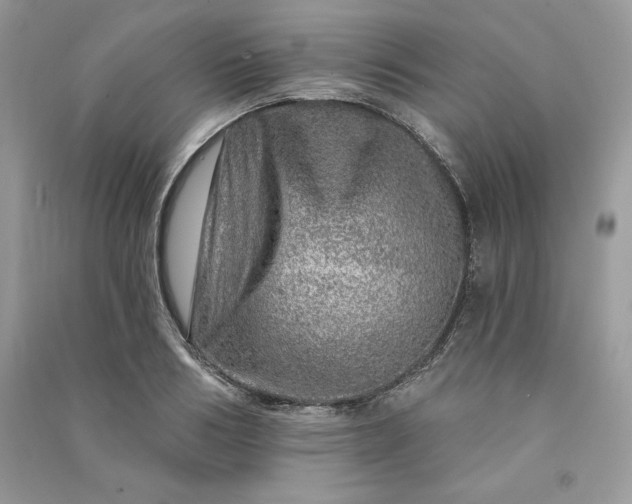 X0000090870986200708101330