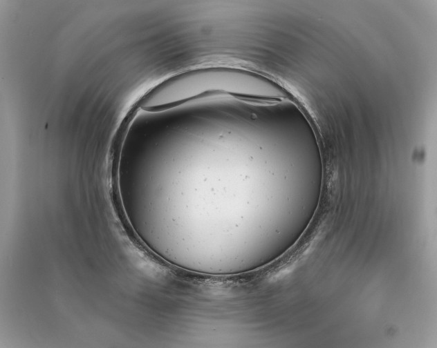 X0000090870987200708101330