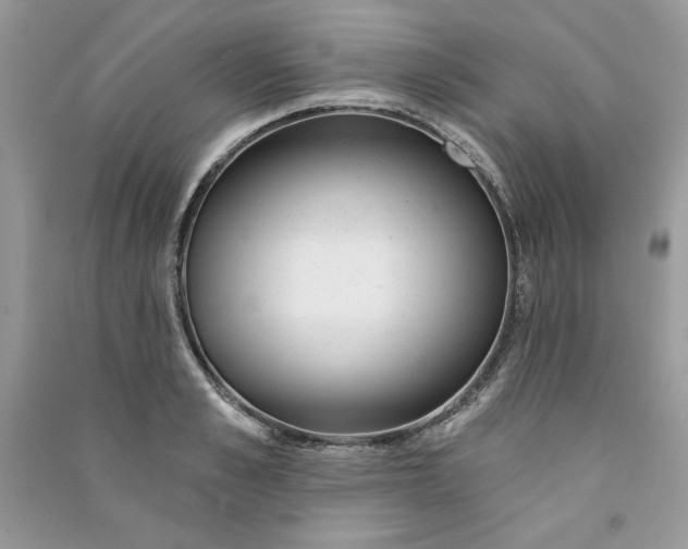 X0000090870989200708101330